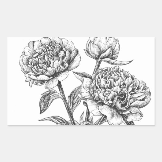 Peony Tinte zeichnend Rechteckiger Aufkleber (Vorderseite)