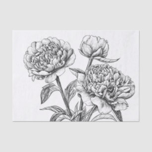 Peony Tinte zeichnend Seidenpapier