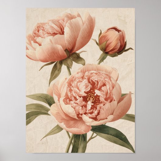 Peony Watercolor Elegance Poster (Vorne)