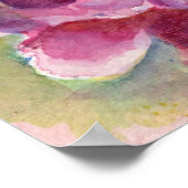 Peony Watercolor Poster (Ecke)
