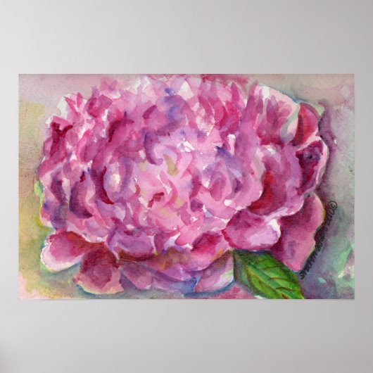 Peony Watercolor Poster (Vorne)