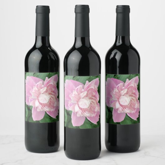 Peony Weinetikett (Flaschen)