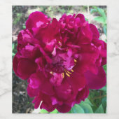 Peony Weinetikett (Einzelnes Label)