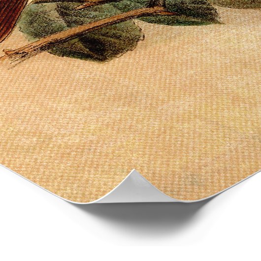 Peony with Nightingales Poster (Ecke)