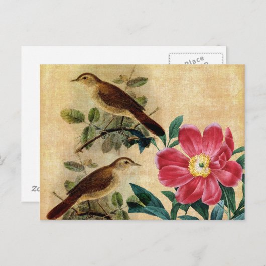 Peony with Nightingales Postkarte (Vorne/Hinten)