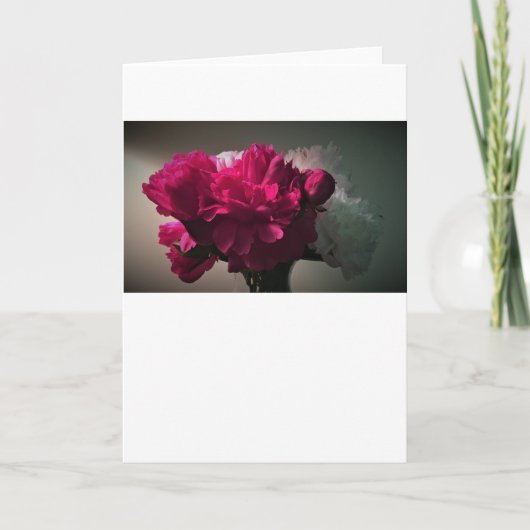 Peonys, Karten (Vorderseite)