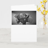 Peonys/Noir, Karte (Gelbe Blume)