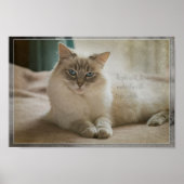 People Will Stare Poster (Vorne)