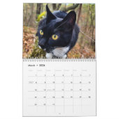 Pepe, ein Jahr im Lebenskalender Kalender (Mär 2026)