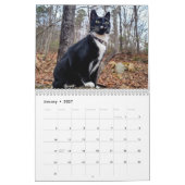 Pepe, ein Jahr im Lebenskalender Kalender (Jan 2027)