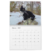 Pepe, ein Jahr im Lebenskalender Kalender (Feb 2027)