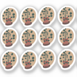 Peperomia-Pflanze, die Design Zeichne Aufkleber