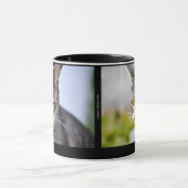 Pepin und Louis-Tasse Tasse (Zentrum)