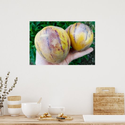 Pepino Melon frucht Poster (Küche)