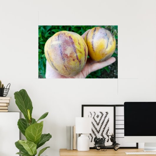 Pepino Melon frucht Poster (Heimbüro)