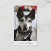 PepiSmartDog Visitenkarten (5) Visitenkarte (Rückseite)