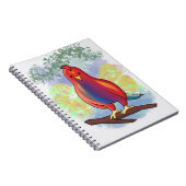 Pepo Papagei-Cartoon auf Spiralplatte Notizblock (Rechte Seite)