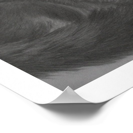 Pepper 14"x11" Print Poster (Ecke)