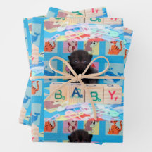 Pepper - Baby Kitten - Packpapierblätter