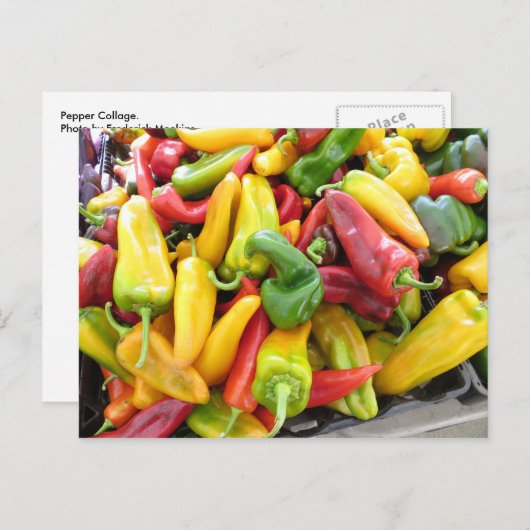 Pepper Collage Postkarte (Vorne/Hinten)