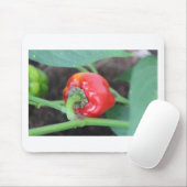 Pepper Garden Mix Mousepad (Mit Mouse)