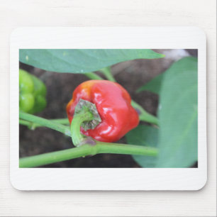 Pepper Garden Mix Mousepad