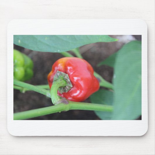 Pepper Garden Mix Mousepad (Vorne)