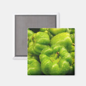 Pepper Magnet 02 (Vorderseite/Rückseite)