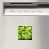 Pepper Magnet 02 (In Situ (Geschirrspüler))