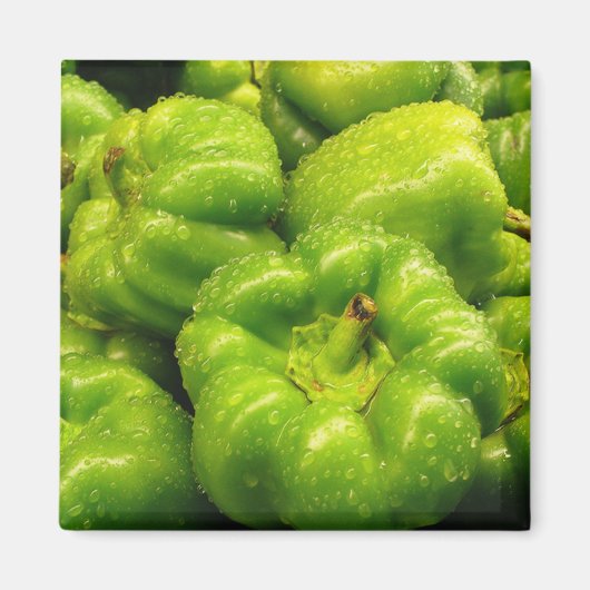 Pepper Magnet 02 (Vorne)