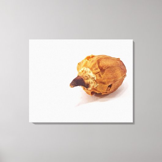 Pepper Pod Leinwanddruck (Vorderseite)