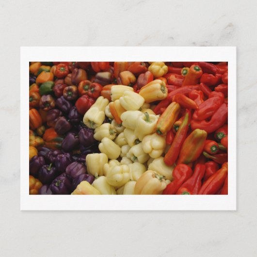 Pepper Postkarte (Vorderseite)