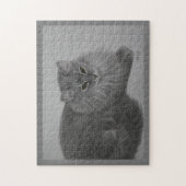 Pepper Puzzle (Vertikal)