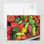 Pepper-Sammlung Postkarte (Vorne/Hinten)
