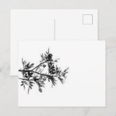 Pepper Tree Blume Blätter Nature Postkarte (Vorne/Hinten)