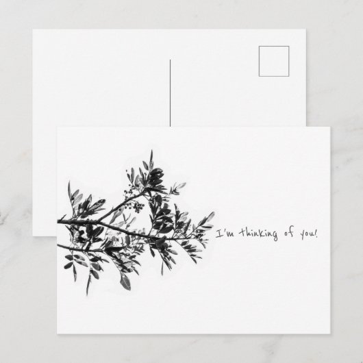 Pepper Tree Ich denke an dich Postcard Postkarte (Vorne/Hinten)