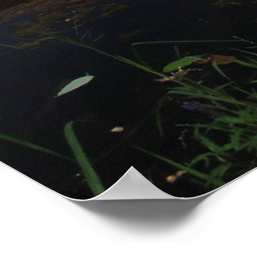 Pepperell MA New Covered Bridge River View Poster (Ecke)