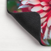 Peppermint Dahlia Mousepad (Ecke)