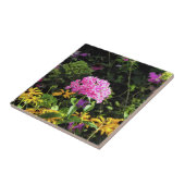 Peppermint Drehung Phlox im Blumengarten Fliese (Seite)