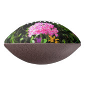 Peppermint Drehung Phlox im Blumengarten Football (Gedreht 90)