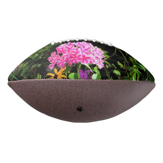 Peppermint Drehung Phlox im Blumengarten Football (Gedreht 270)