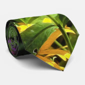 Peppermint Drehung Phlox im Blumengarten Krawatte (Gerollt)