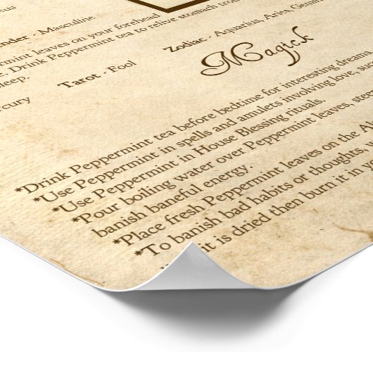 PEPPERMINT MAGICK HERB POSTER (Ecke)