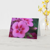 Peppermint Pink Geranium Karte (Gelbe Blume)