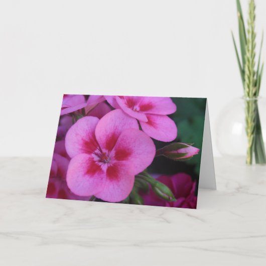 Peppermint Pink Geranium Karte (Vorderseite)