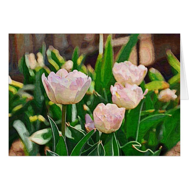 Peppermint Tulips (Impasto) (Vorderseite (Horizontal))