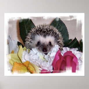 Pepperpot der Igel Poster