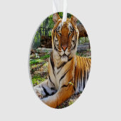 Pepsi - ornament (Vorderseite)