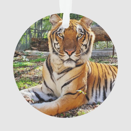 Pepsi - ornament (Rückseite)