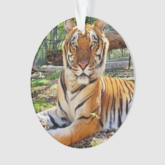 Pepsi - ornament (Vorderseite)